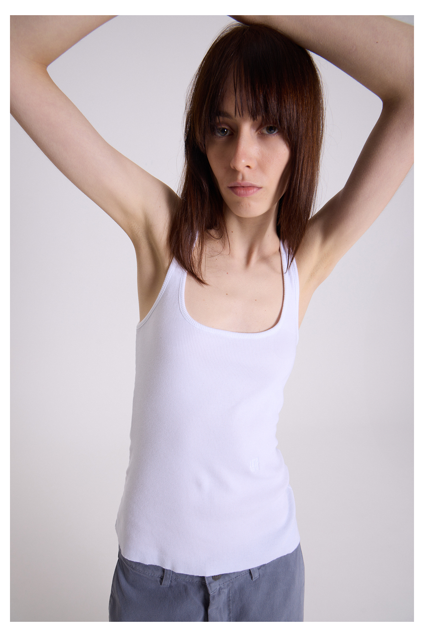 MUSCULOSA U SPLENDENS
